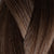 2-5/10 - RootMelt