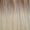 Signature Weft 50g 22