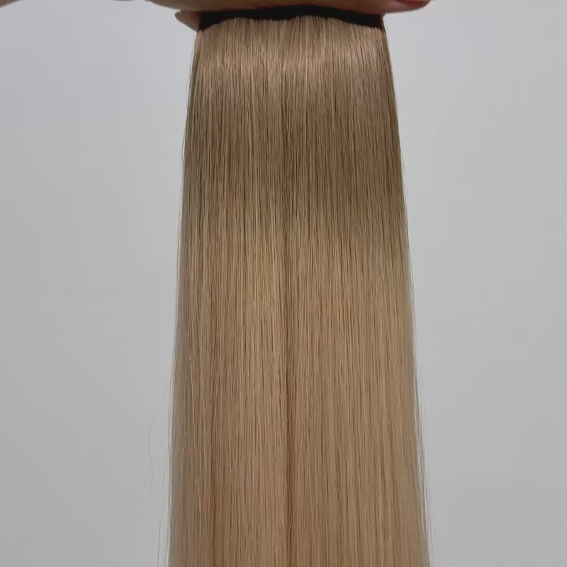 10/18 - Light Ash Blonde/Dark Blonde Ombre